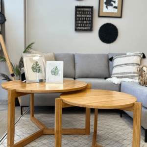 VERA MESA RATONA VERA