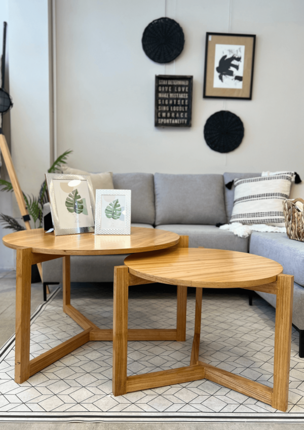 VERA MESA RATONA VERA